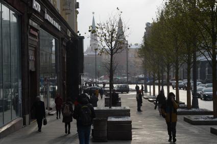 Москва. Липовая аллея на Тверской улице.