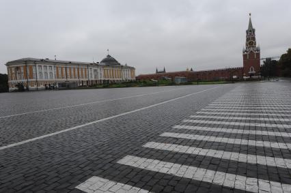 Москва. Ивановская площадь и вид на Сенатский дворец (слева) и Спасскую башню с территории Московского Кремля.