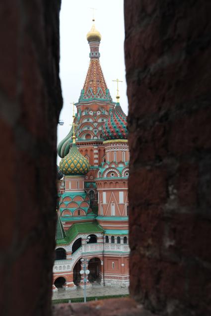 Москва. Вид на Собор Василия Блаженного с Кремлевской стены.