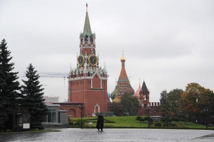 Москва. Вид на Спасскую башню и Собор Василия Блаженного с территории Московского Кремля.