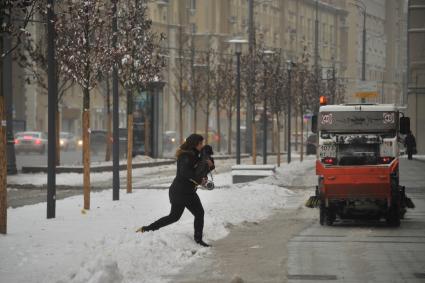 Москва.   Высаженные деревья на Садовом кольце.