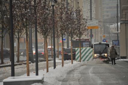 Москва.   Высаженные деревья на Садовом кольце.