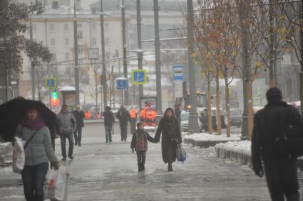 Москва.   Высаженные деревья на Садовом кольце.