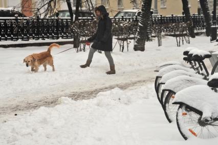 Москва.  Девушка гуляет с собакой на Чистопрудном бульваре.