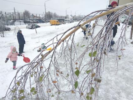 Москва. Последствия ледяного дождя.