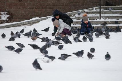 Ставрополь.   Дети кормят голубей.
