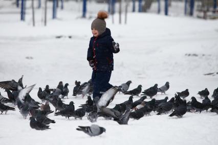 Ставрополь.  Мальчик кормит  голубей.