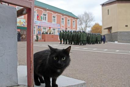 Уфа. Новобранцы на занятиях по строевой подготовке на плацу военного комиссариата перед отправкой к месту несения службы в ВС РФ.