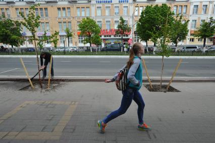 Калуга. Липовая аллея , высаженная по инициативе депутата горсовета и бизнесмена Якова Казацкого .