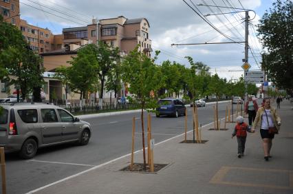 Калуга. Липовая аллея  , высаженная  по инициативе депутата горсовета и бизнесмена Якова Казацкого .