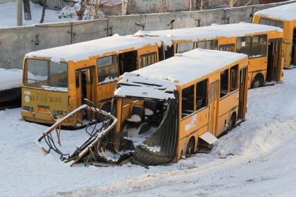 Челябинск.  Автобусы Ikarus 260 в пункте утилизации вышедших из эксплуатации транспортных средств.