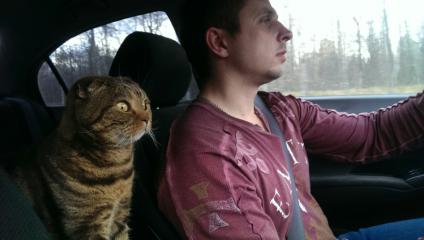 Москва. Мужчина с котом в автомобиле.