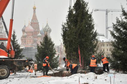 Москва.   Высадка деревьев на территории парка `Зарядье` на месте снесенной гостиницы `Россия`.