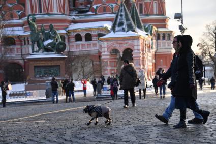 Москва.  Туристы на Красной площади.