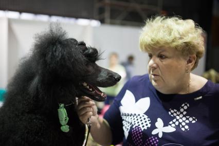 Ставрополь. Участница с собакой породы  пудель на Международной выставке собак.