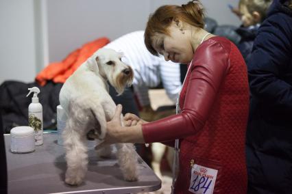 Ставрополь.  Участница с собакой породы шнауцер на Международной выставке собак.
