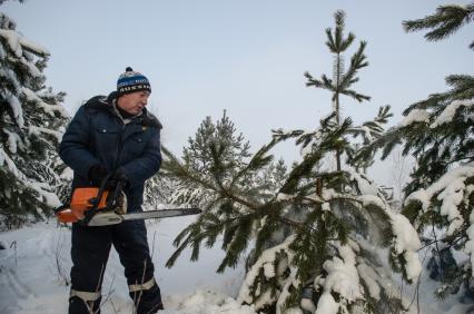 Самара.  Заготовка елок для новогодних праздников.