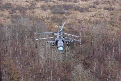 Ленинградская область. Вертолетные учения Западного военного округа (ЗВО). Боевой вертолет КА-52.