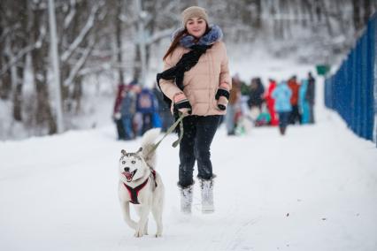 Ставрополь.  Девушка с собакой  породы хаски.