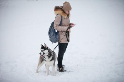 Ставрополь. Девушка с собакой породы хаски.