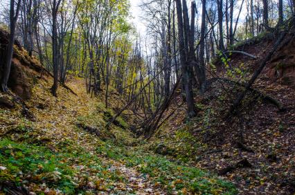 Самарская область. Осенний пейзаж.