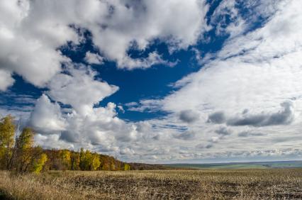 Самарская область. Осенний пейзаж.