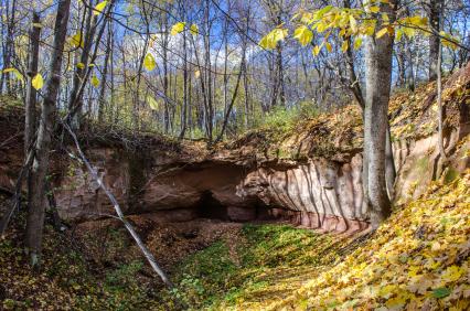 Самарская область. Осенний пейзаж.