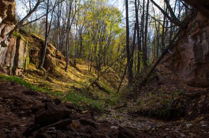 Самарская область. Осенний пейзаж.