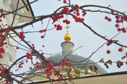 Москва. Купол храма Большое Вознесение  и  ветка с плодами красных райских яблок.