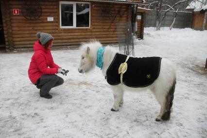 Нижний Новгород. Обитателей зоопарка `Лимпопо` нарядили в теплую одежду для защиты от мороза.