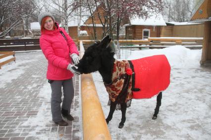 Нижний Новгород. Обитателей зоопарка `Лимпопо` нарядили в теплую одежду для защиты от мороза.