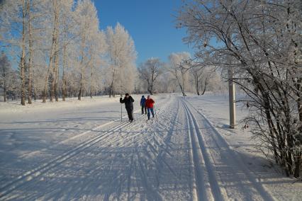 Красноярск.  Люди катаются на лыжах в парке.