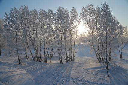 Красноярск.  Иней на деревьях.