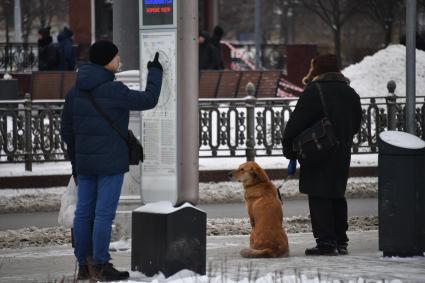 Москва.  Мужчина у информационного стенда у метро Трубная.