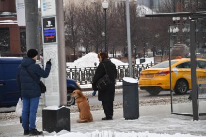 Москва.  Мужчина у информационного стенда у метро Трубная.