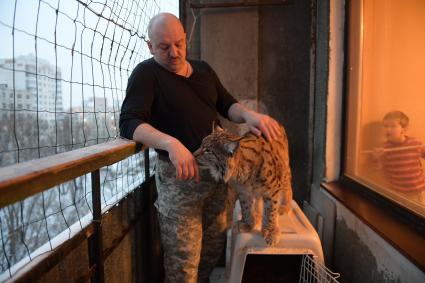 Москва. Александр Любарский  на своем балконе с дикой  рысью .