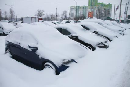 Нижний Новгород. Заснеженные автомобили на одной из улиц города.