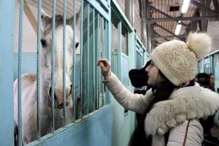 Москва. Столичные студенты на экскурсии в конюшне  Первого оперативного полка в рамках общероссийской акции `Студенческий десант`.