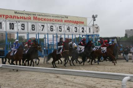 Диск76. Центральный Московский ипподром. Скачки ГРАН-ПРИ РАДИО МОНТЕ-КАРЛО. 2008. На снимке: заезд на ипподроме