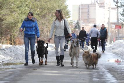 Челябинск. Девушки выгуливают собак.