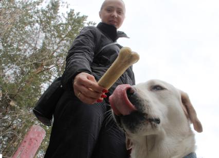 Челябинск.  Женщина кормит собаку.