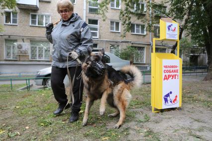 Челябинск. Женщина с собакой на прогулке.