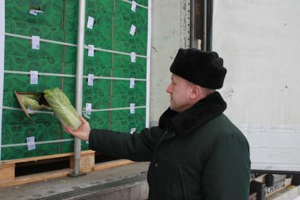 Смоленская область. Российско-белорусская граница на трассе М1/Е30 Москва - Смоленск - Минск. Таможенный контроль на контрольно-пропускном пункте `Красная горка`.