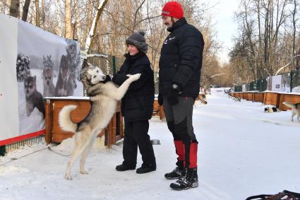 Москва.  Собаки породы хаски в парке `Сокольники` , где проходит  реабилитационно-образовательная программа `По пути с хаски`.