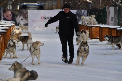 Москва. Молодой человек с собакой породы хаски в парке `Сокольники` , где проходит реабилитационно-образовательная программа `По пути с хаски`.
