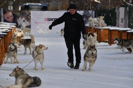 Москва.  Молодой человек  с собакой породы хаски в парке `Сокольники` , где проходит  реабилитационно-образовательная программа `По пути с хаски`.