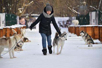 Москва.  Девочка играет с собакой породы хаски в парке `Сокольники` в рамках реабилитационно-образовательной  программы `По пути с хаски`.