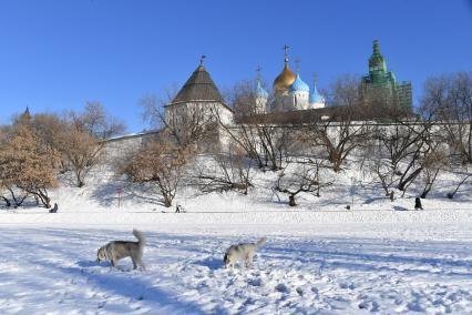 Москва. Вид на Новоспасский мужской монастырь.