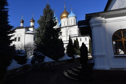 Москва. Вид на Преображенский собор   Новоспасского монастыря.