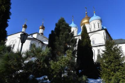 Москва. Вид на Преображенский собор   Новоспасского монастыря.